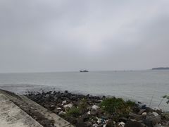 -东郊椰林