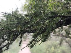 -白草畔自然风景区