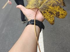 -丹东天桥沟景区