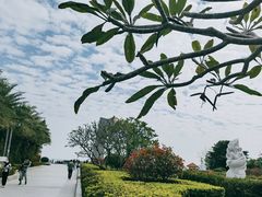 -青澳湾北回归线广场