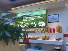 -鸽小宝(深圳首店)