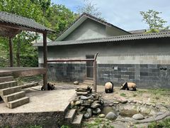 -碧峰峡风景区