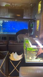 -青木造型HAIR·あおき髪を刈る潮人店