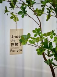 -亦美瑜伽·普拉提