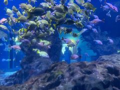 -海合安武汉极地海洋公园