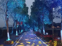 -花博汇(知音花月夜)