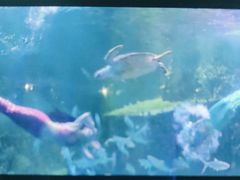 -嘉兴海底世界