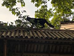 -东吴面馆(因果巷店)