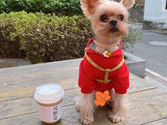 -灯塔咖啡馆BOOK·Coffee Shop