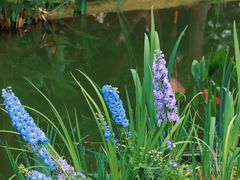 -人民公园(罗湖区)