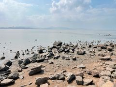 -深圳湾公园(南山区)