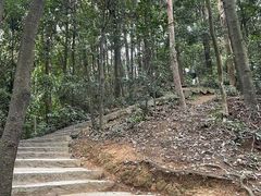 -水濂山森林公园