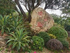 -滴水岩森林公园