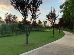 -昆山城市生态森林公园