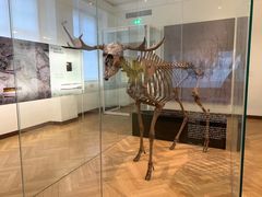 -丹麦国家博物馆