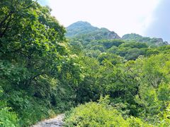 -阳台山自然风景区