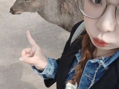 -水上乐园·欢乐世界