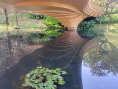 -云溪植物园
