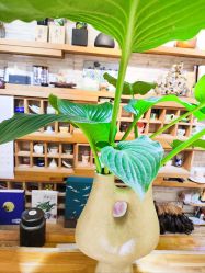 -今日陶艺(富力广场店)