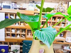 -今日陶艺(富力广场店)