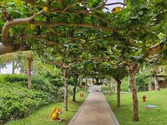 -三亚亚龙湾天域度假酒店