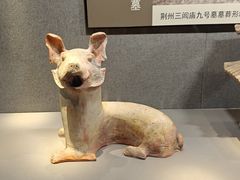 -荆州博物馆