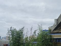 -小茶闲舍·观景商务茶馆(广州塔店)