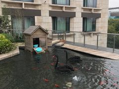 -行者书屋大堂吧 ·下午茶(南京圣和府邸酒店)