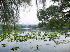 -西湖游船
