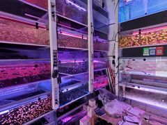 -华声天桥民俗文化园