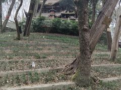 -子昂故里文化旅游区