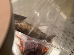 -協成海鮮火鍋(老店)