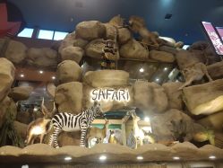 -卡通尼·Safari非洲探索乐园·生日会(金桥国际商业广场店)