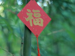 -望江楼公园