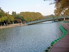 景点-红梅公园