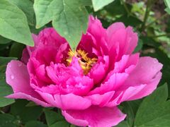 -合肥三国新城遗址公园