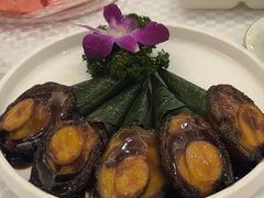 -齐家花园大酒店(宝山店)