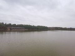 -上海海湾国家森林公园