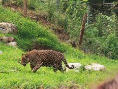 -北京野生动物园