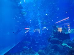 -成都浩海立方海洋公园