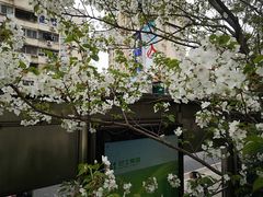 -象王洗衣(青蓝国际店)