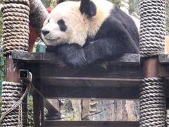 -大连森林动物园