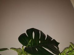 -豪客来牛排(伟诚广场店)