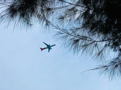 -宝安西湾红树林湿地公园