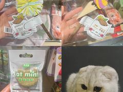 -龟与熊猫宠物公园(南坪店)
