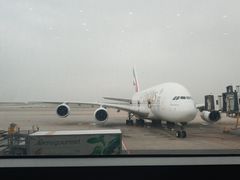 -上海华美国际酒店(新天地人民广场店)