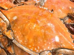 -北塘海鲜·天津菜(大光明桥旗舰店)