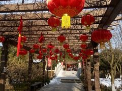 -白马涧龙池景区