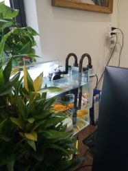 点击看大图 -憨大叔韩式儿童摄影 80店连锁(闵行店)