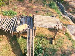 -泉州海丝野生动物世界